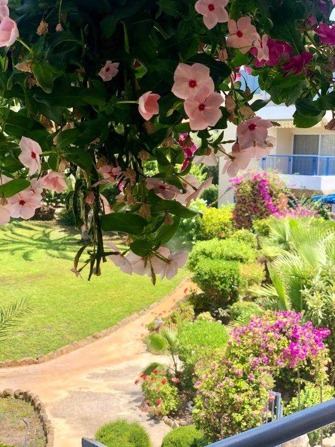 Paradise Gardens With A Large Terrace Pafos Zewnętrze zdjęcie