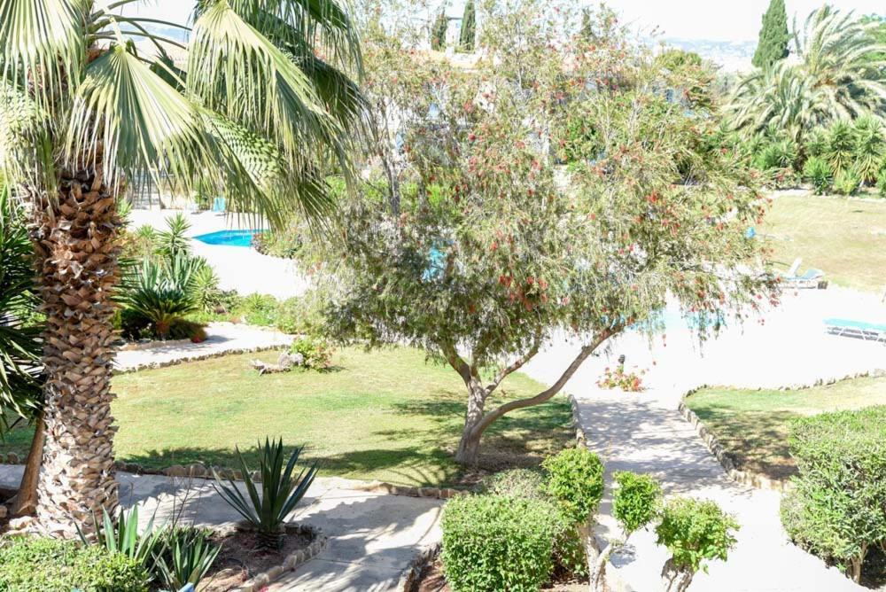 Paradise Gardens With A Large Terrace Pafos Zewnętrze zdjęcie